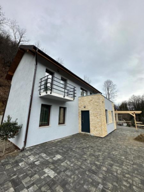 Twin Villa1